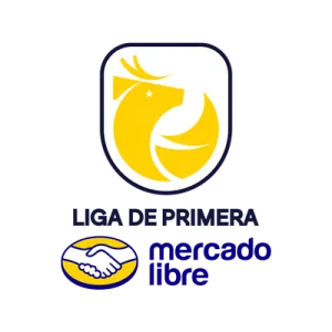 Banner de la categoría Campeonato chileno